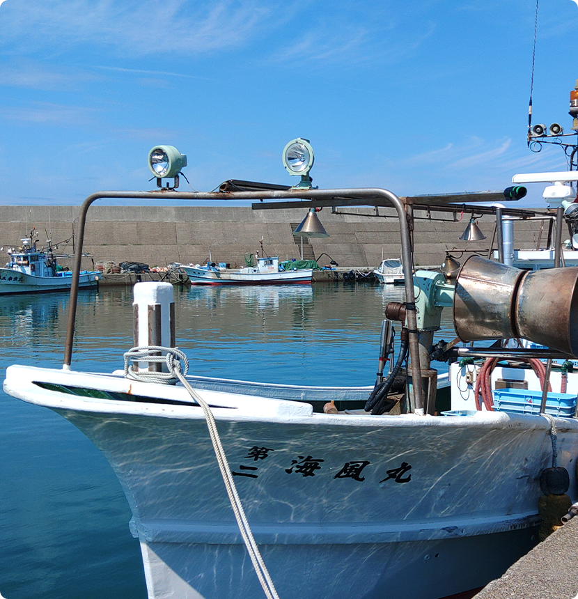 富山湾で遊ぼう！