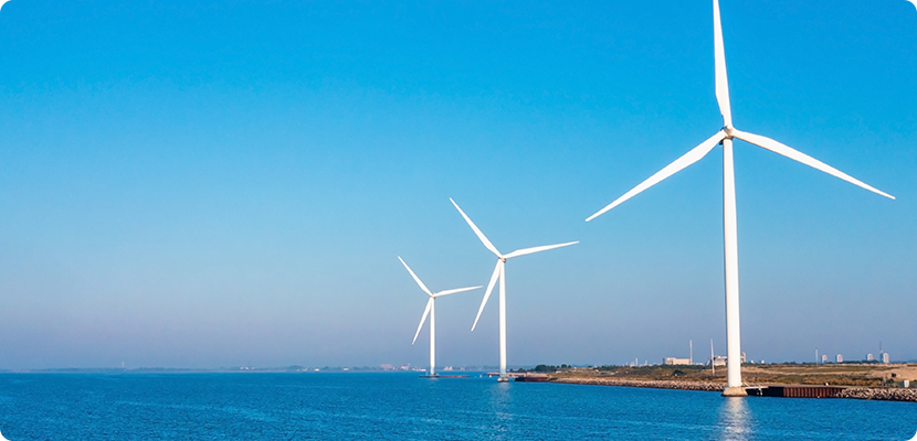 求人特設サイト