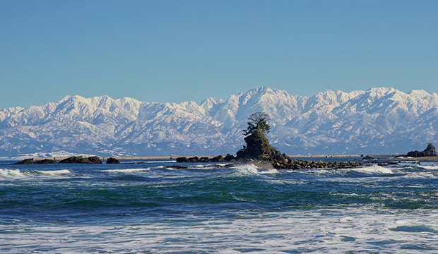 立山連峰の雪解け水が流れ込む