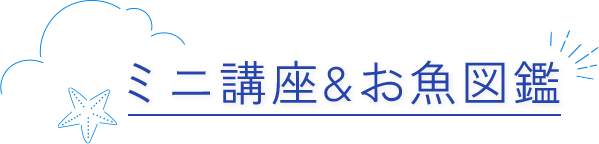 ミニ講座/お魚図鑑