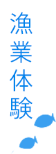 漁業体験